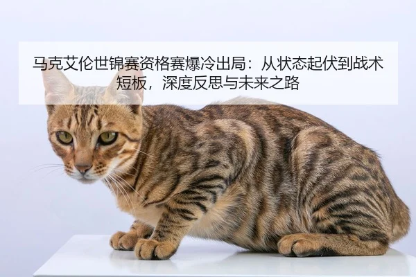 马克艾伦世锦赛资格赛爆冷出局：从状态起伏到战术短板，深度反思与未来之路