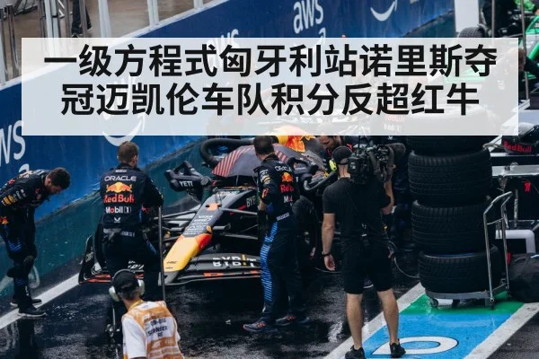 一级方程式匈牙利站诺里斯夺冠迈凯伦车队积分反超红牛